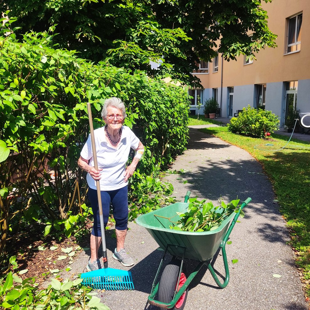 eine ältere Dame beim Garten Arbeiten mit Scheibtruhe und Rechen