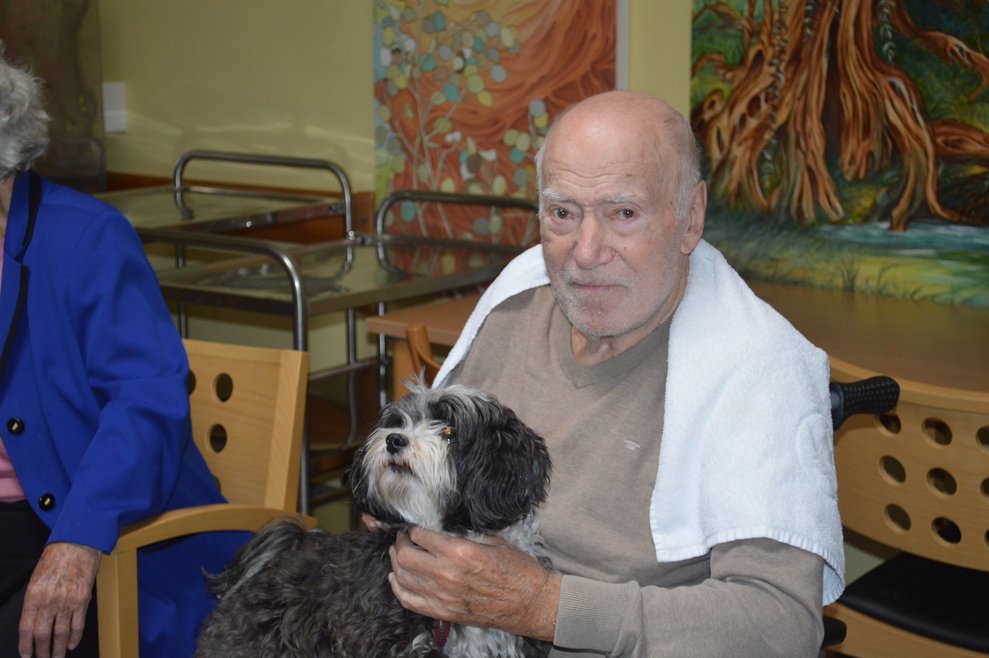 Therapiehund