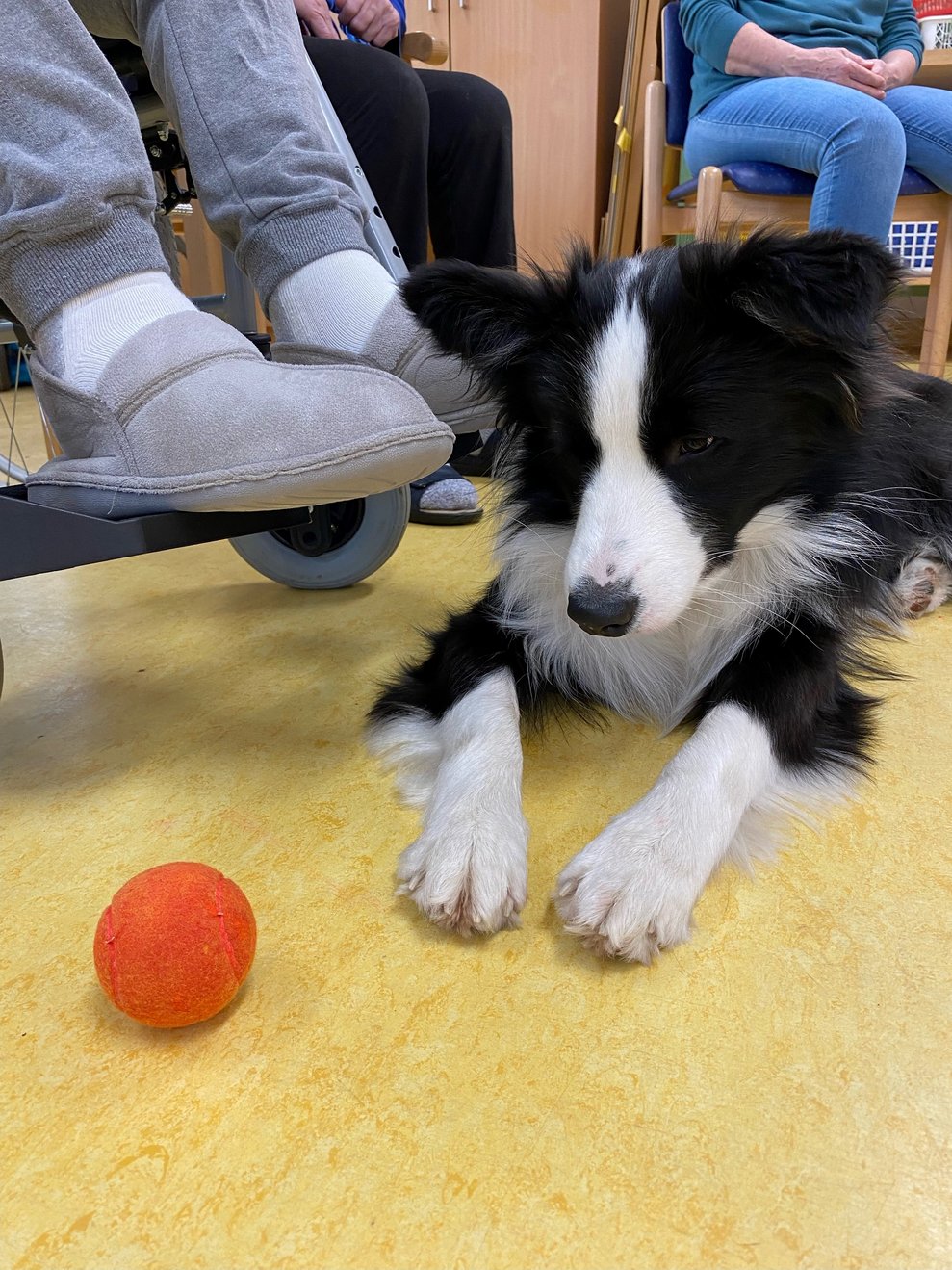 Ball für Winnie