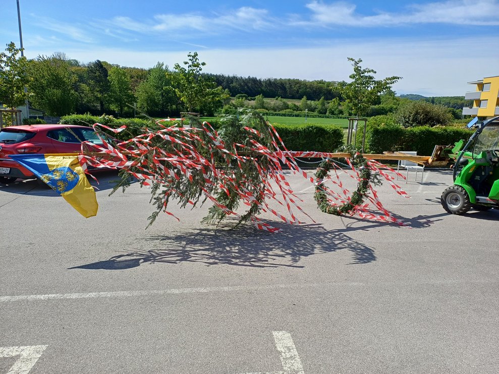 liegende Maibaum