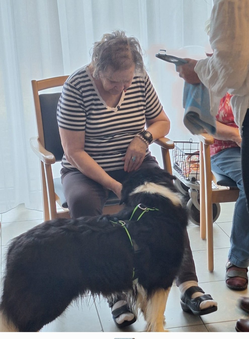 Hund mit Bewohnerin
