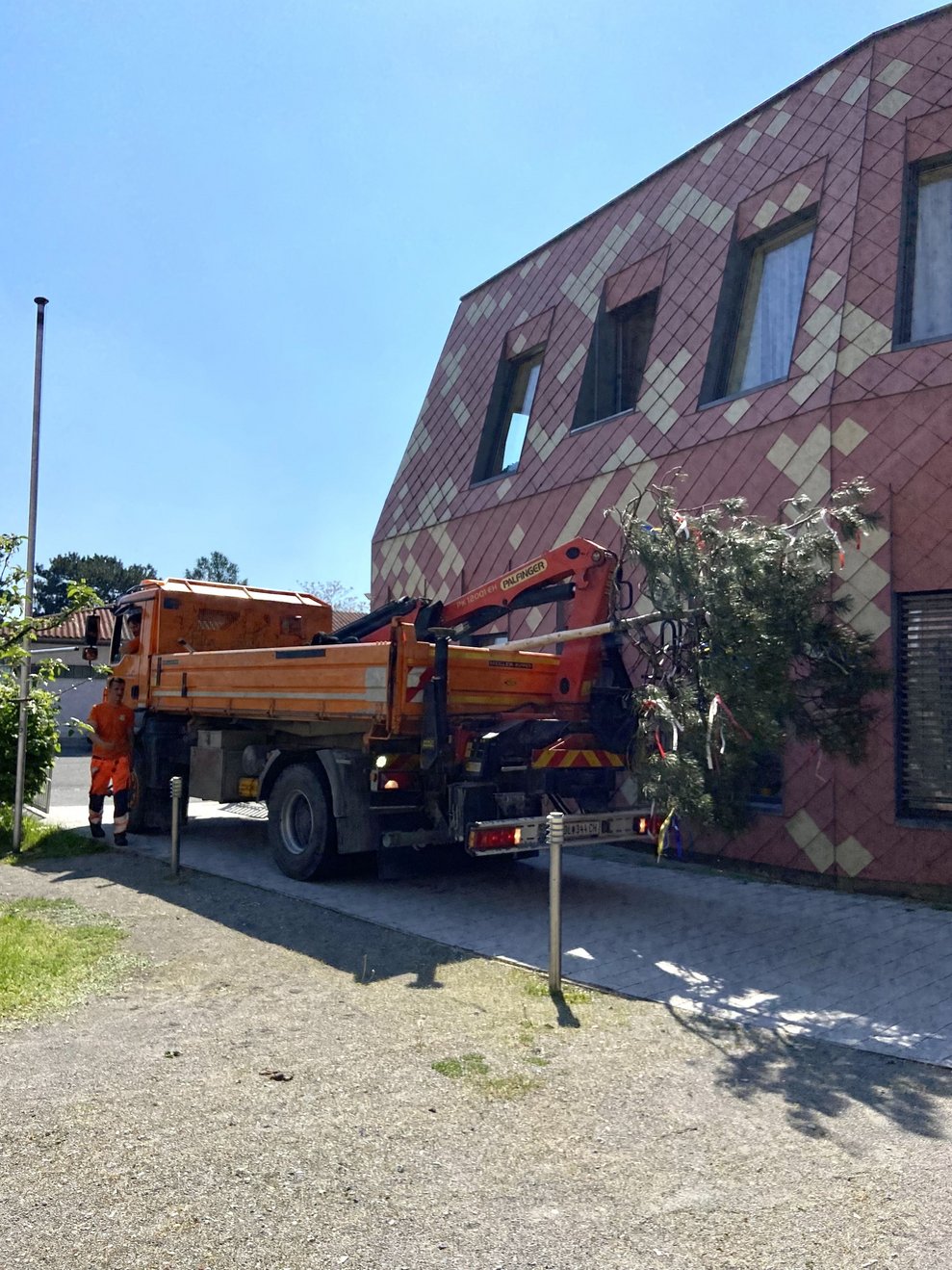 Zulieferung des Maibaumes
