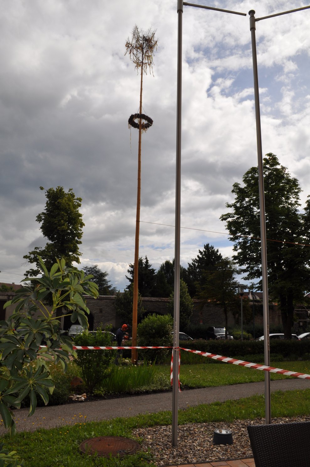Maibaum