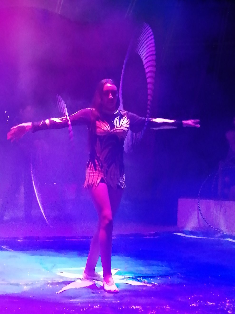 Zirkus