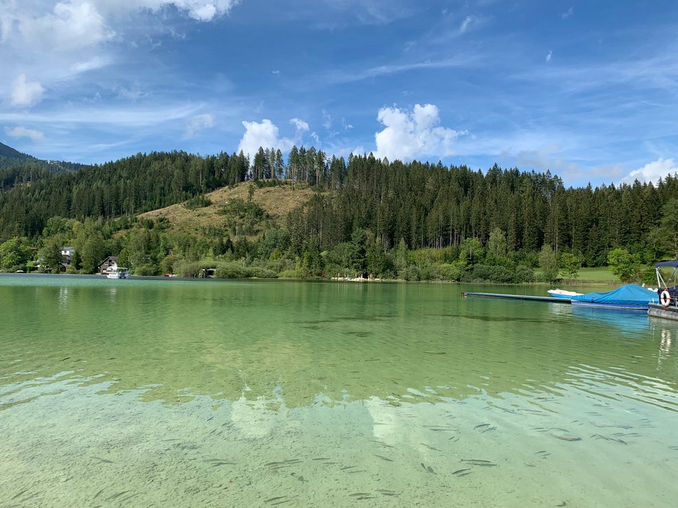 Der Erlaufsee