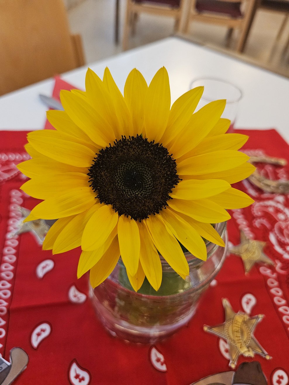 Die Sonnenblumen brachten die Tischdekoration zum Leuchten.