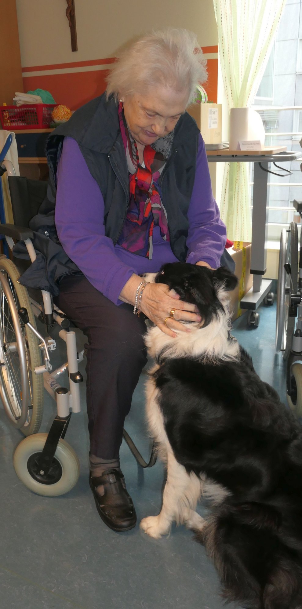 Eine Dame im Rollstuhl streichelt den Hund.