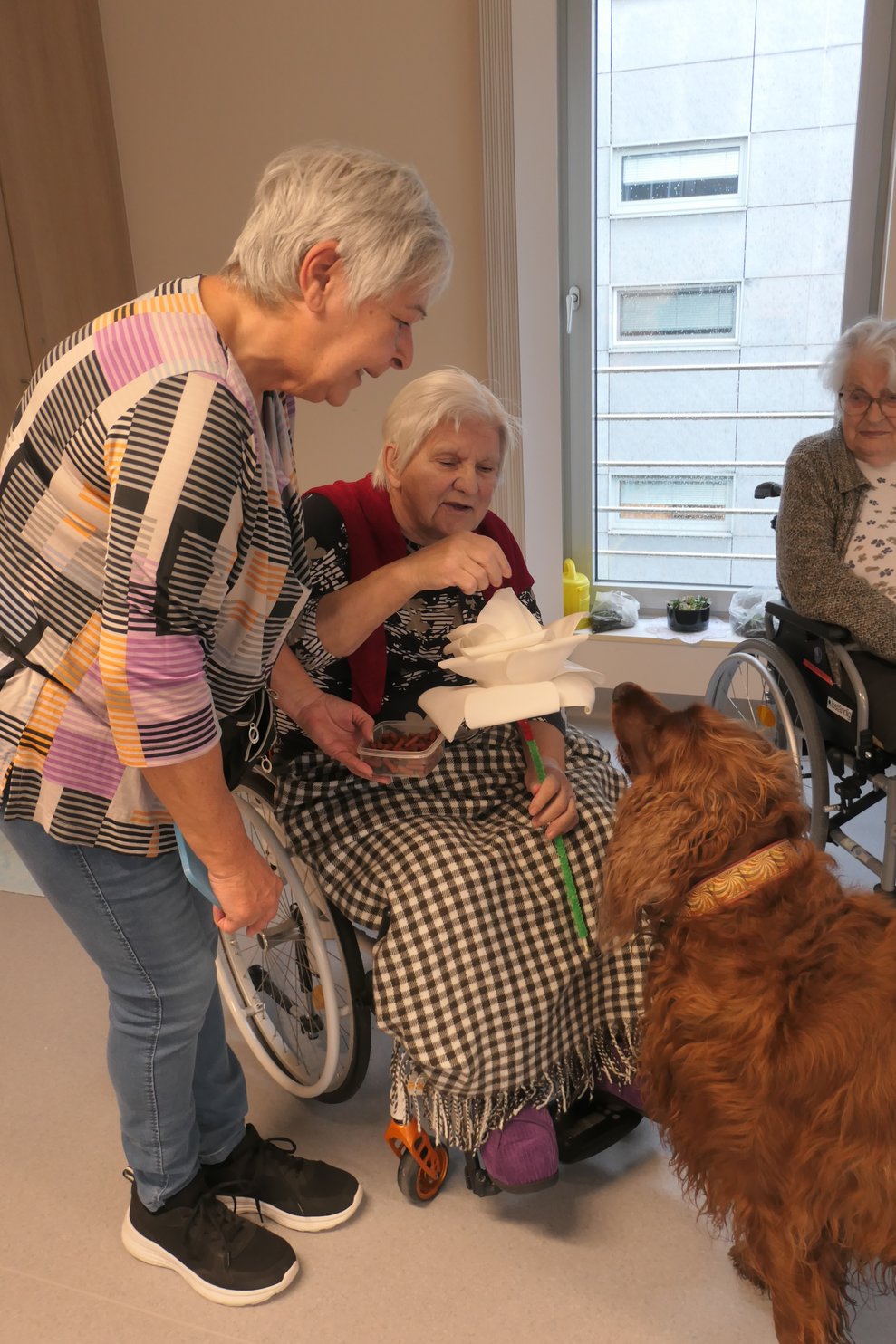 Eine Dame lässt Lucy an einem Gegenstand schnuppern.