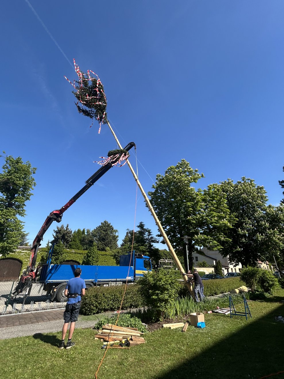 ein Maibaum in Schräglage beim Aufstellen durch den Kranlastwagen