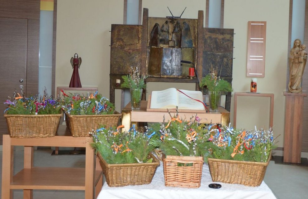 Viele Palmbüsche