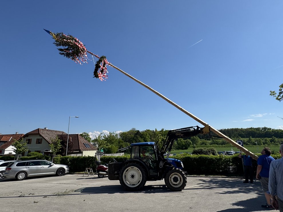 Maibaum