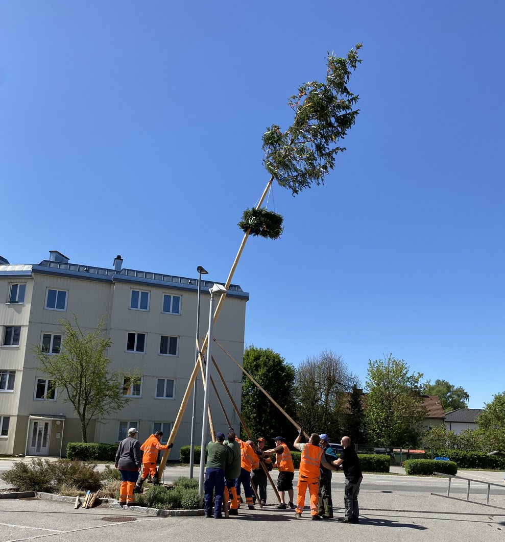 Bei strahlenden Sonnenschein...