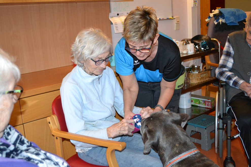 Hund mit Frauen