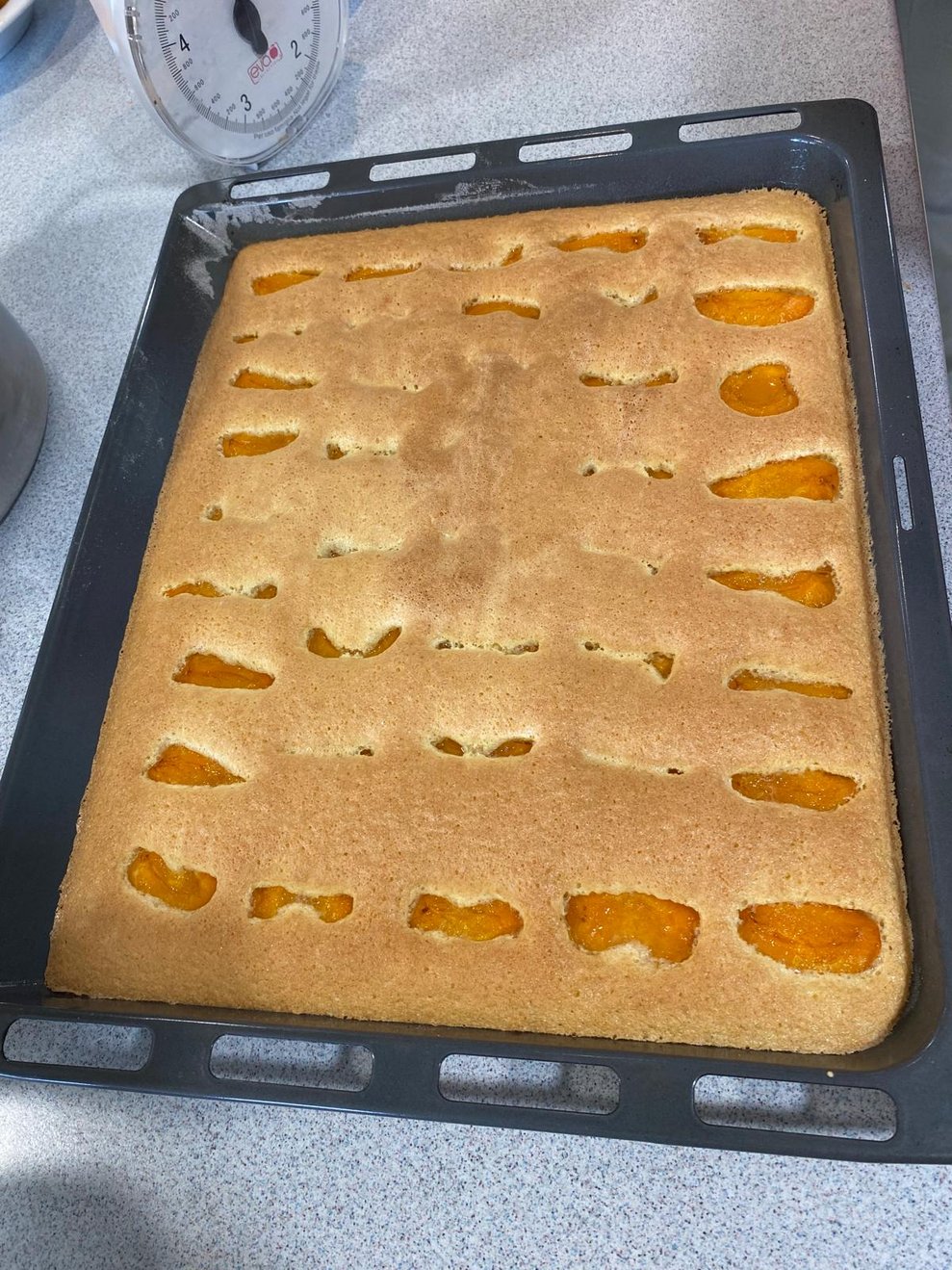 Marillenkuchen.