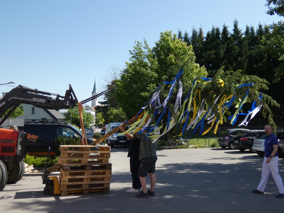 Maibaum