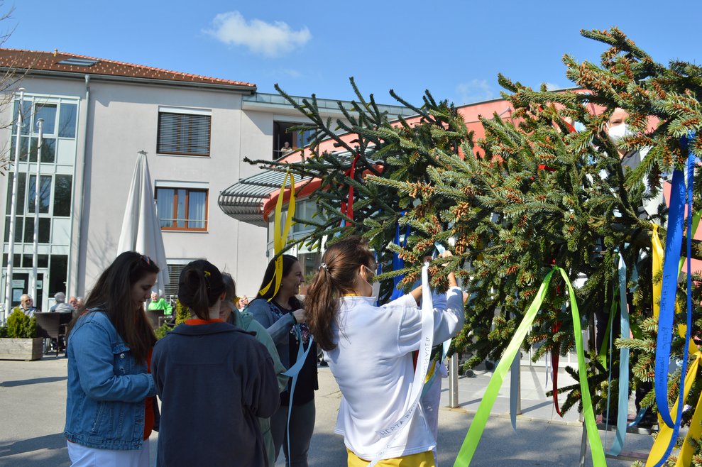 Maibaum schmücken