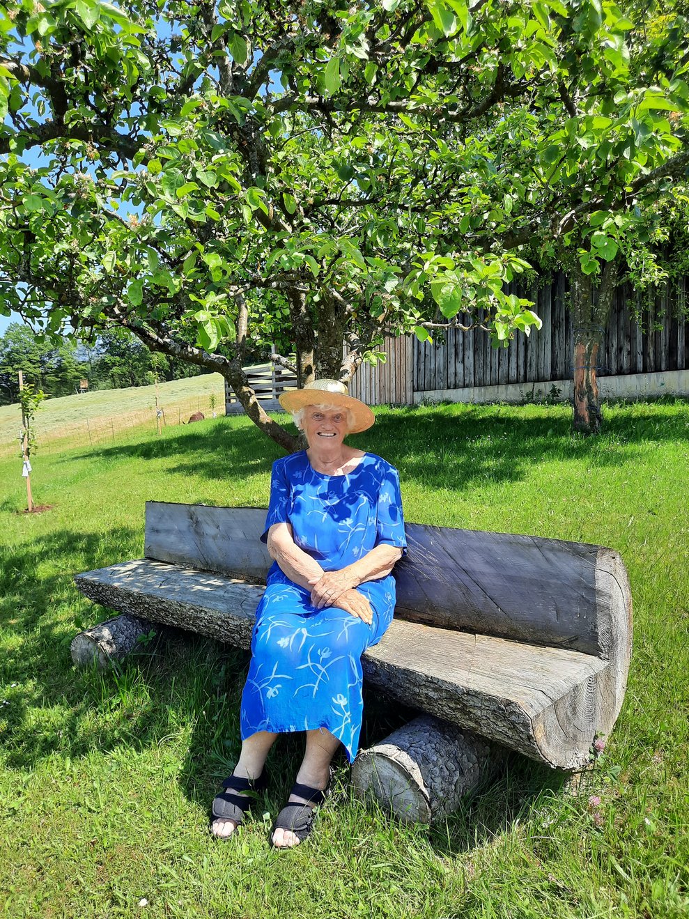 Eine Dame sitzt auf einem sonnigen Bankerl unter einem Baum.