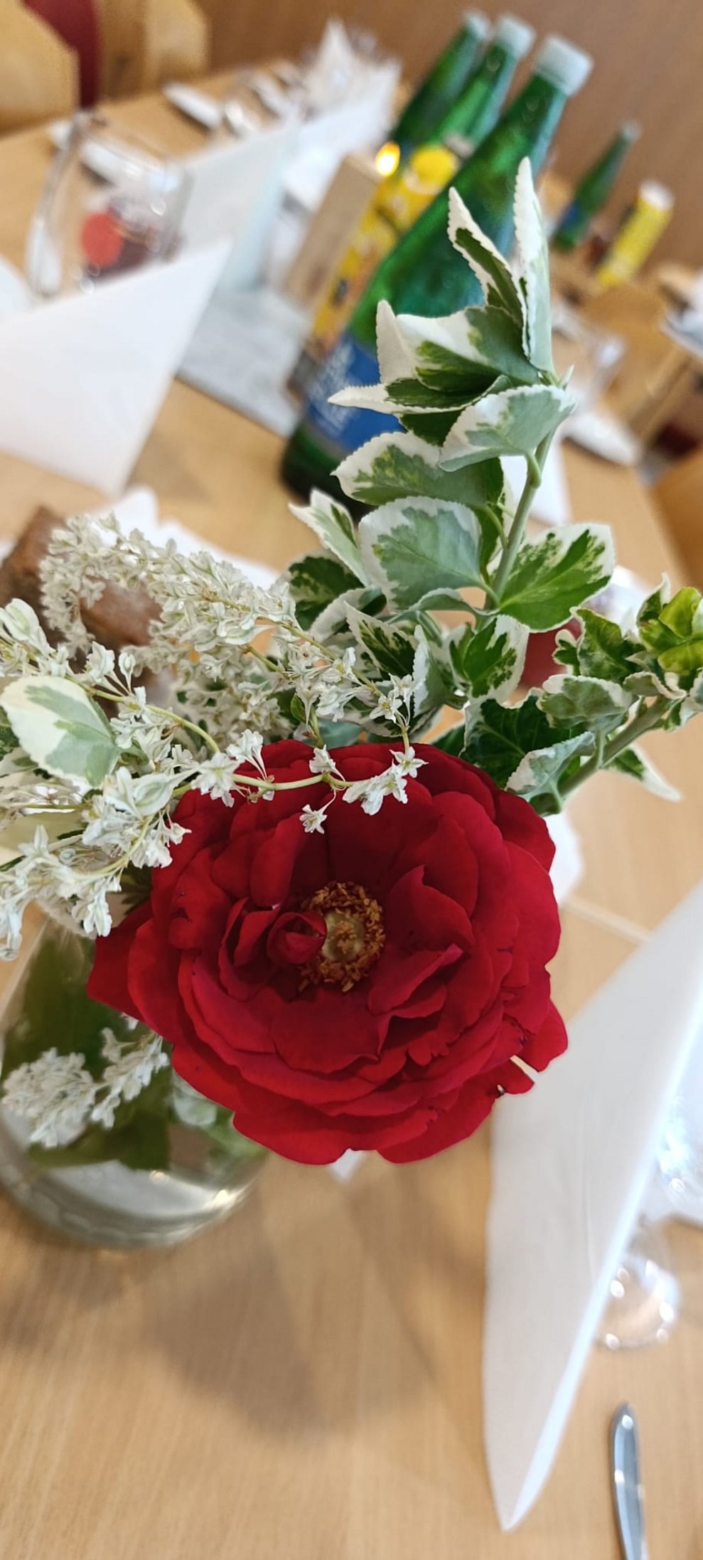 Rose und Zweigerl mit grünen Blätter in Vase.