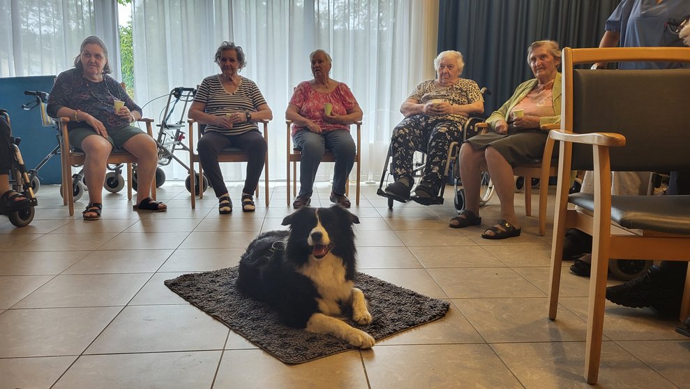 Hund mit Bewohnerinnen