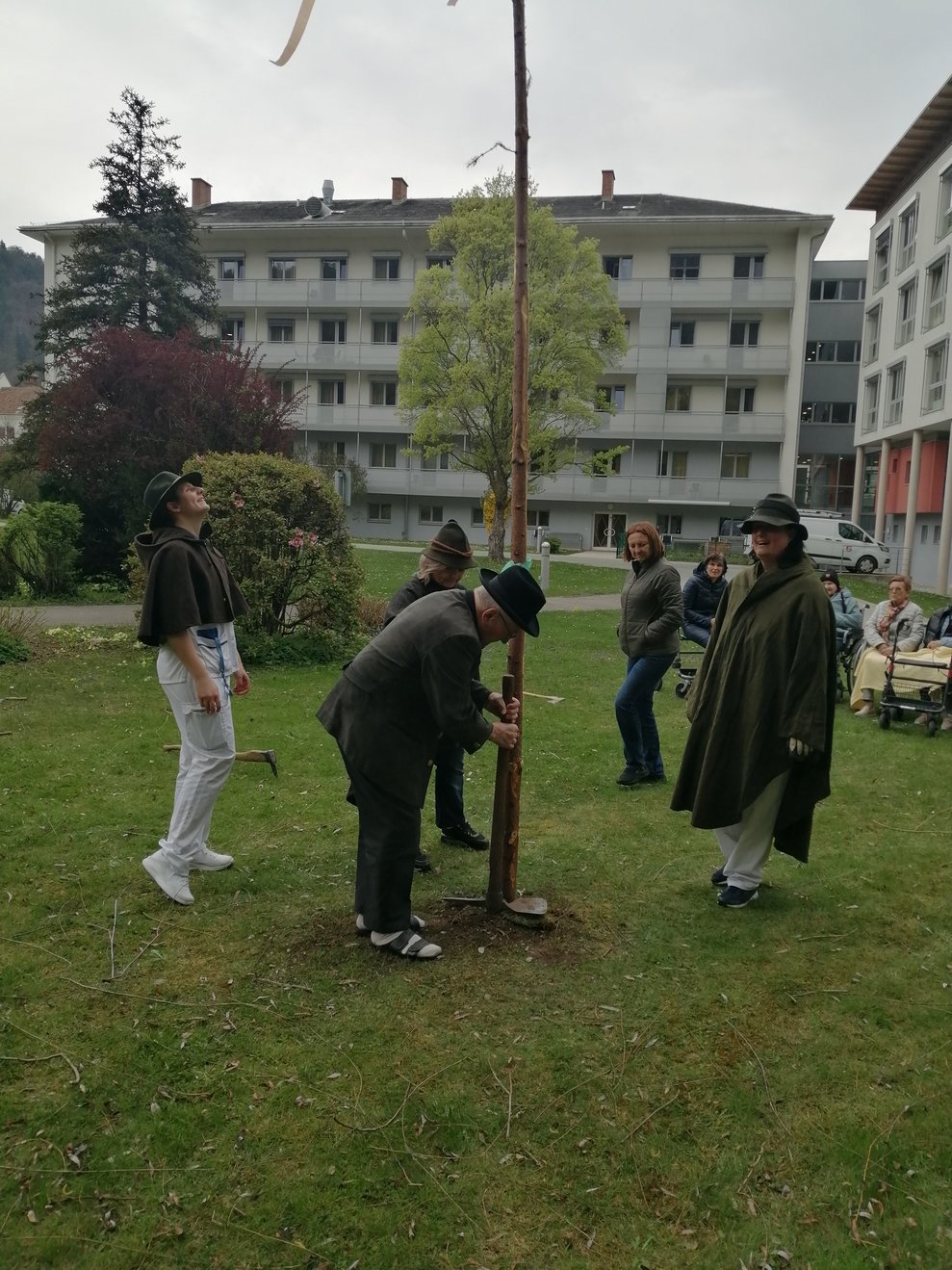 Maibaum wird aufgestellt