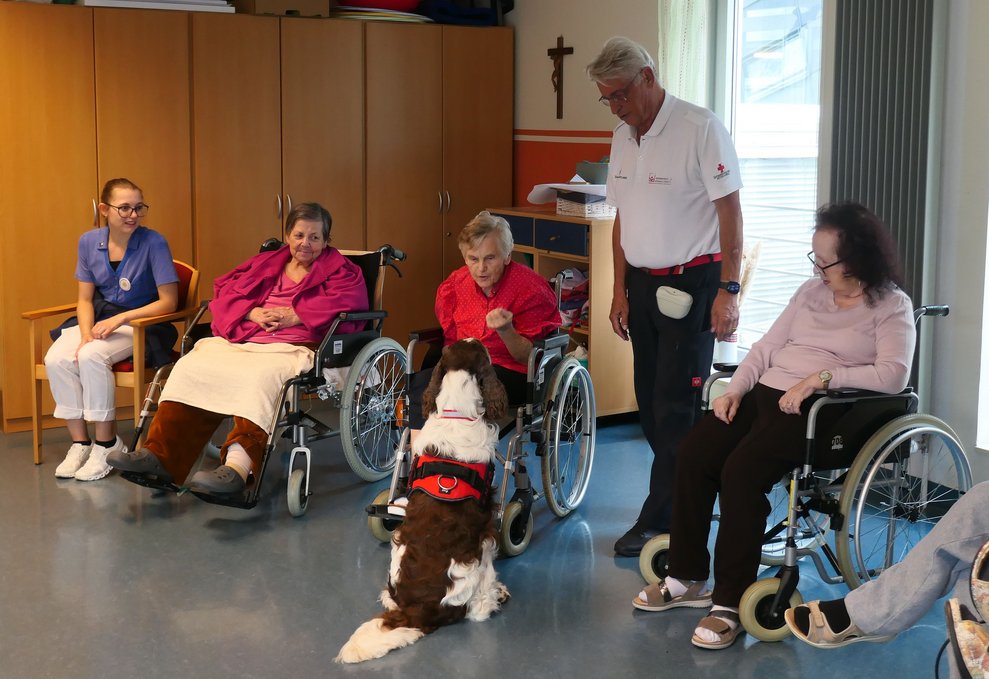 Bewohnerinnen und Trainer mit Hund beim Spielen