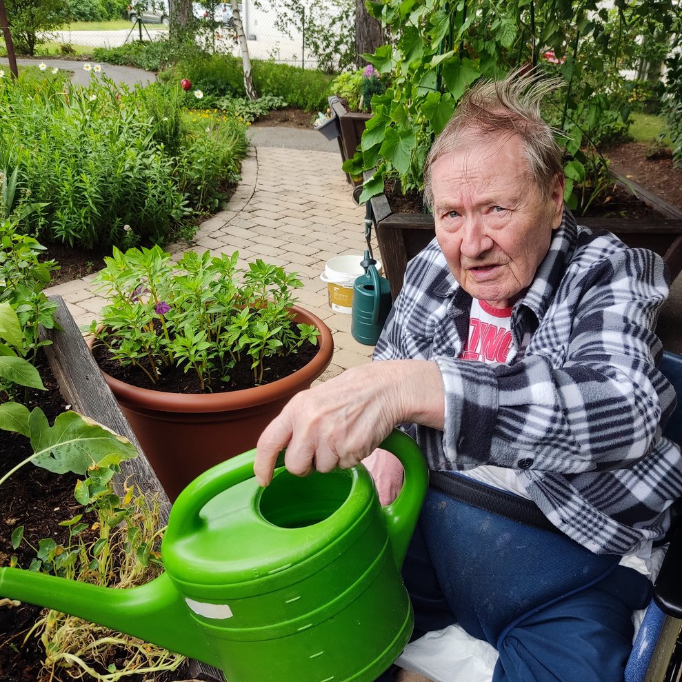 ein älterer Mann beim Gießen im Garten