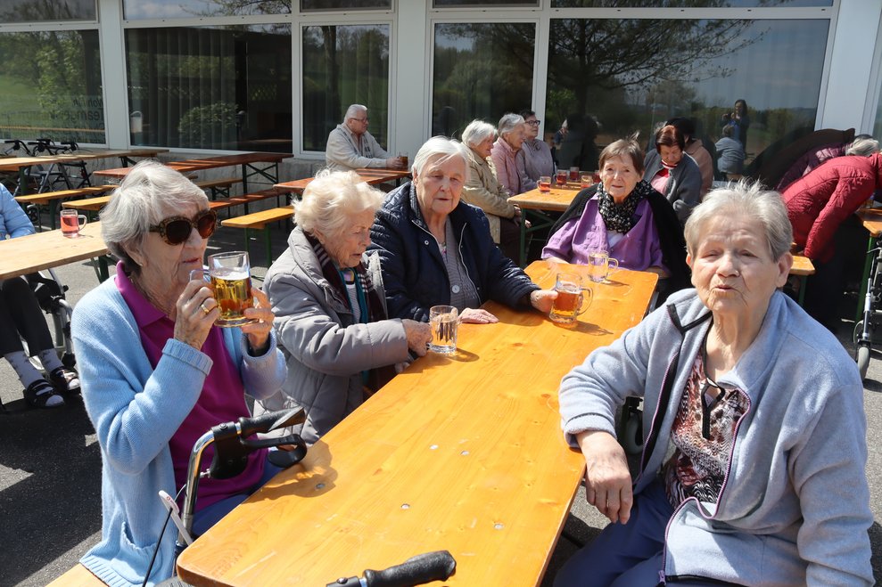 Wir stellen unseren Maibaum auf