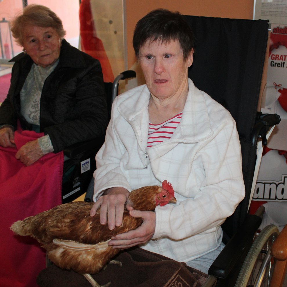 Besuch von SchülerInnen mit Haustieren