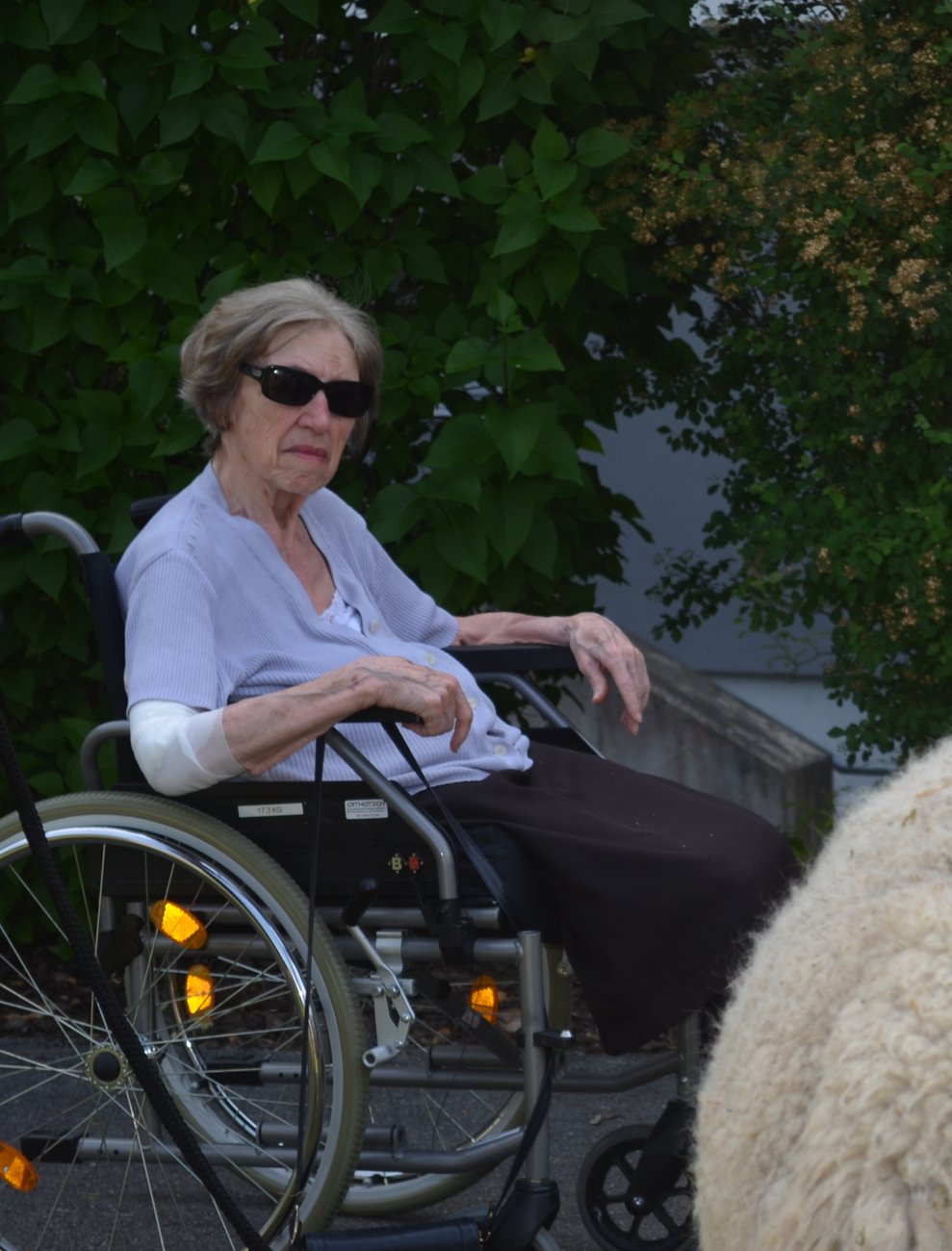 Bewohnerin im Schatten
