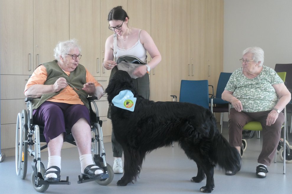 Hund Loki mit Frauchen Carina und zwei Damen.
