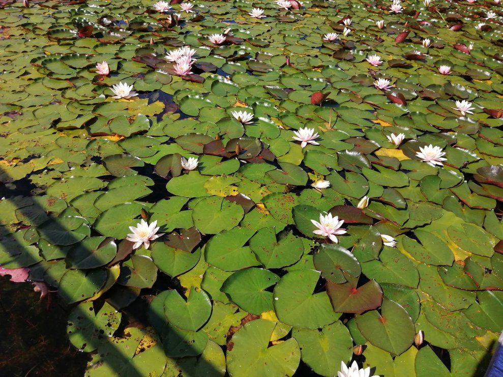 Besuch Naturschwimmbad