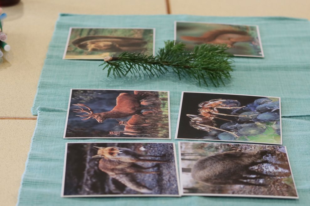 Bilder