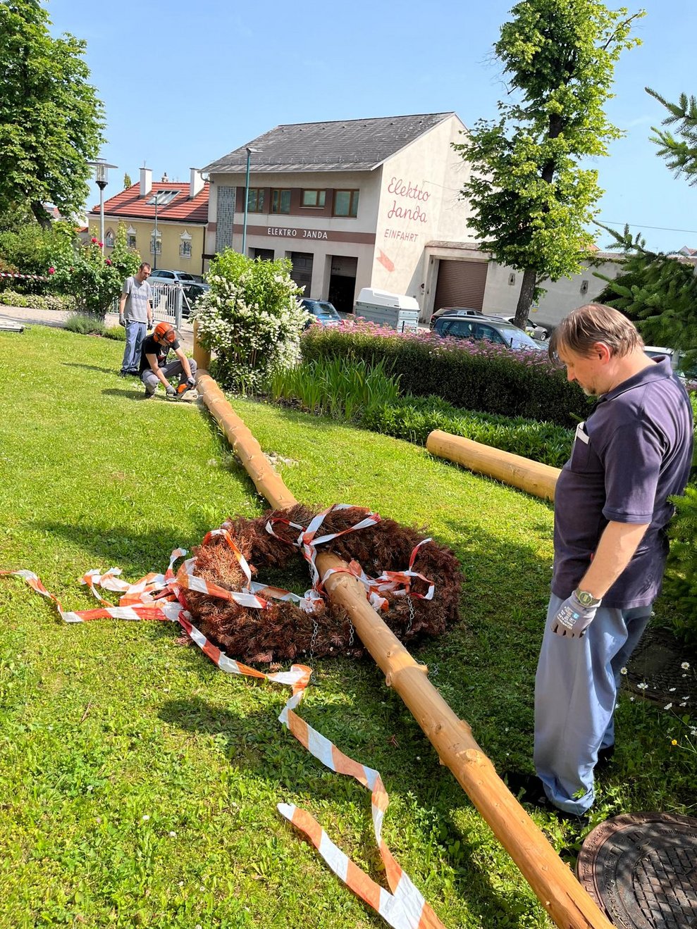 Maibaum umgeschnitten