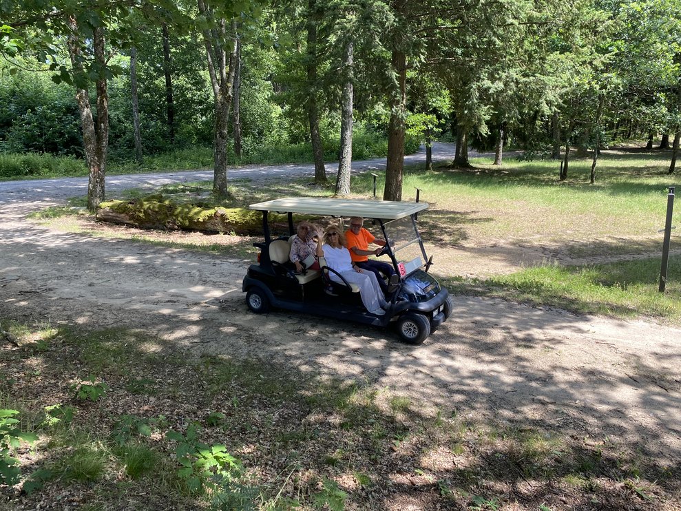 Einige fahren mit dem Golfcar.