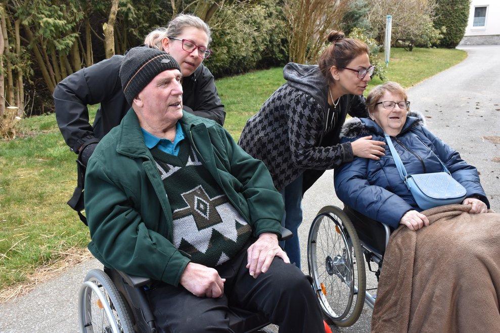 es werden die Kühe beobachtet