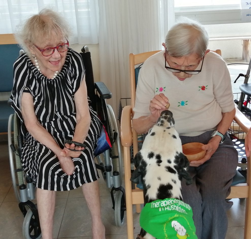 Bewohner mit Therapiehund