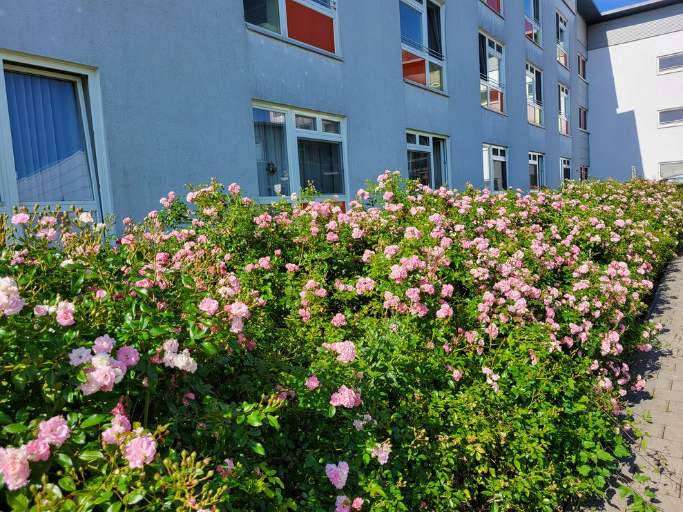 Blumen