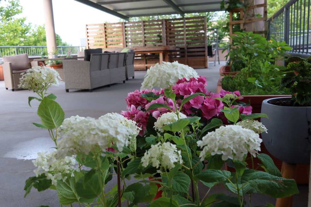 Terrasse