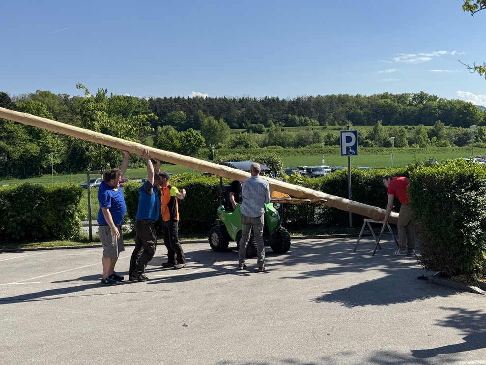 Maibaum
