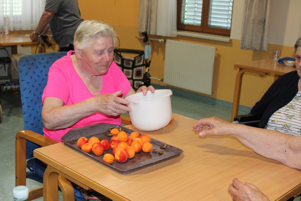 Marillenlikör machen