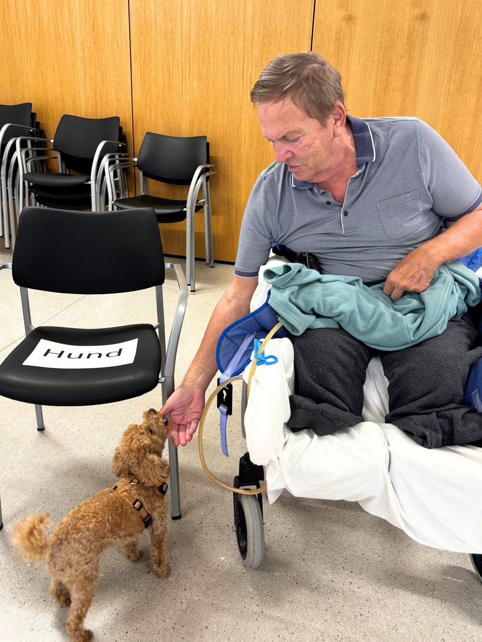 Hundetherapie 