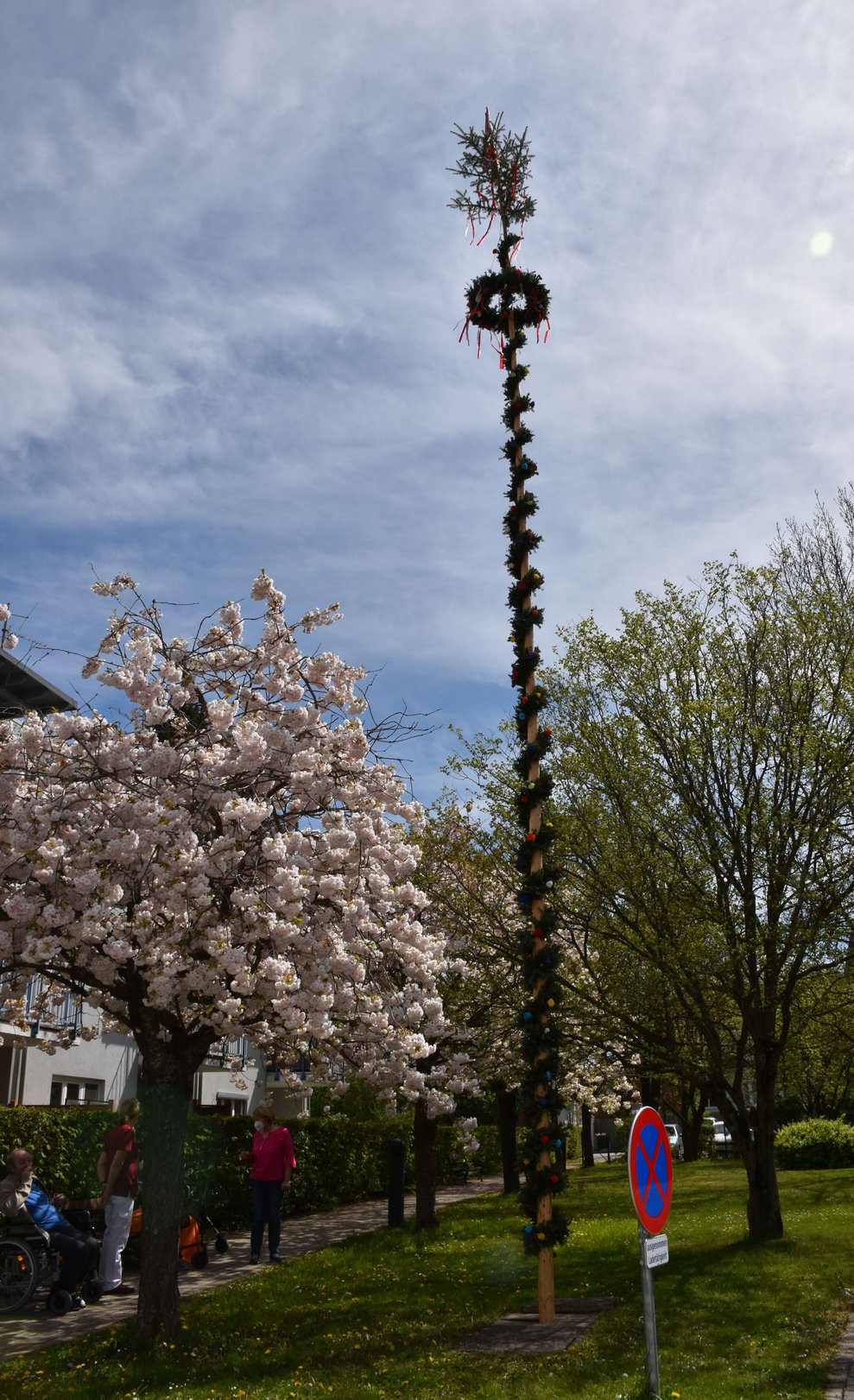 Maibaum