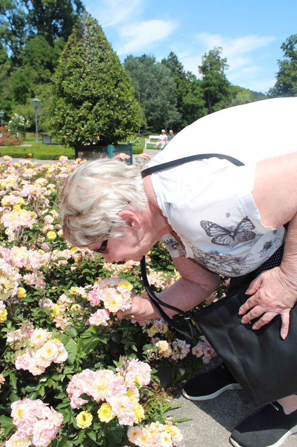 Im Rosarium angekommen, werden die duftenden Blumen bewundert.
