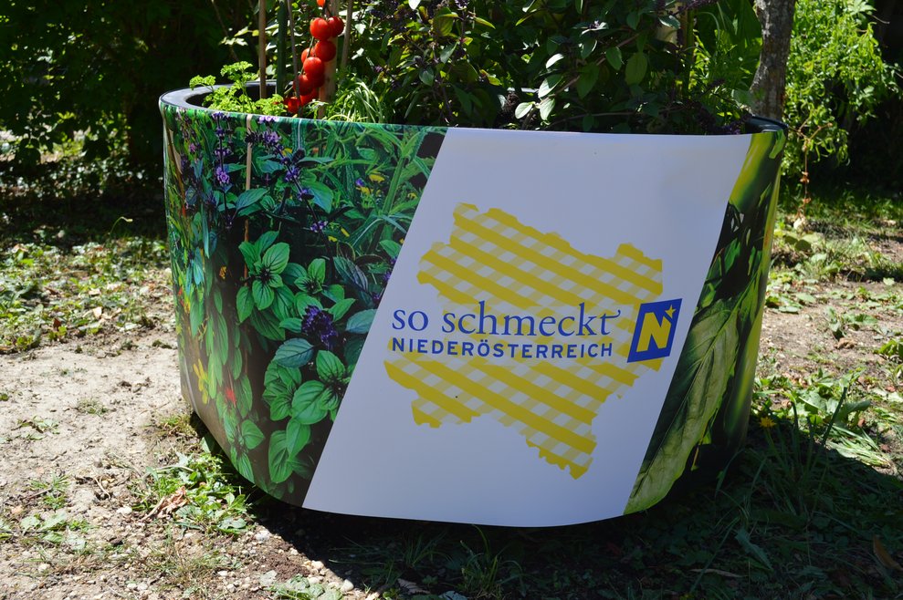 So schmeckt Niederösterreich