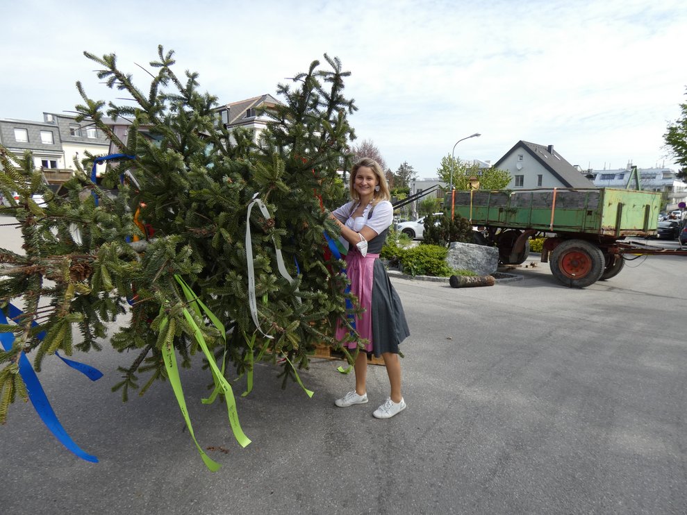 Maibaum