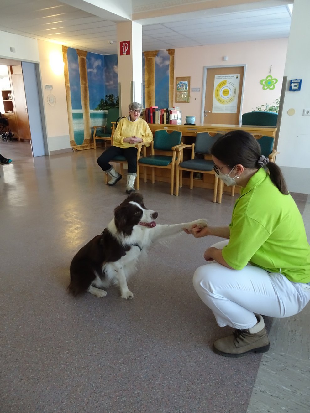 Hund