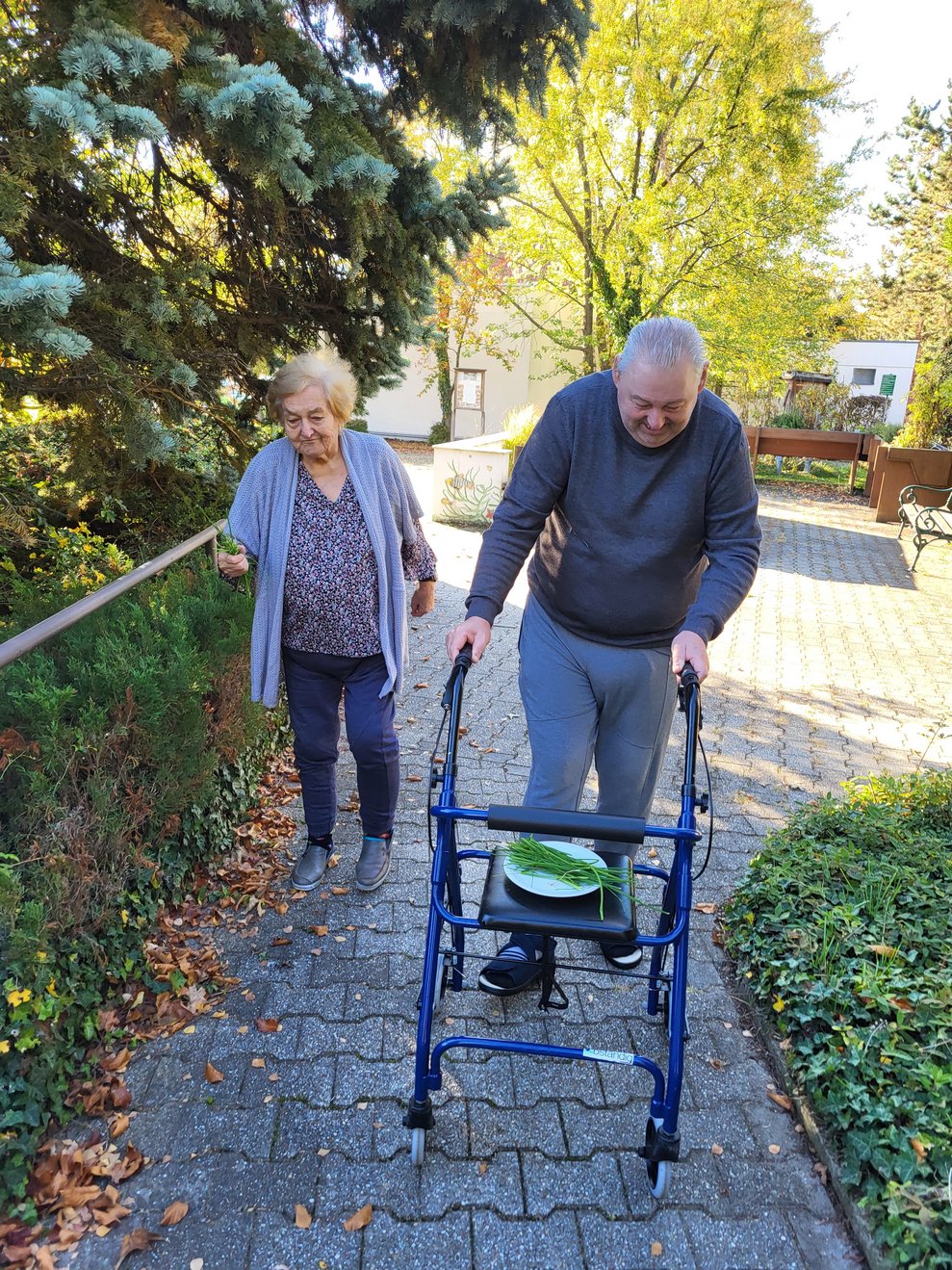 Frischer Schnittlauch aus unserem Therapiegarten.