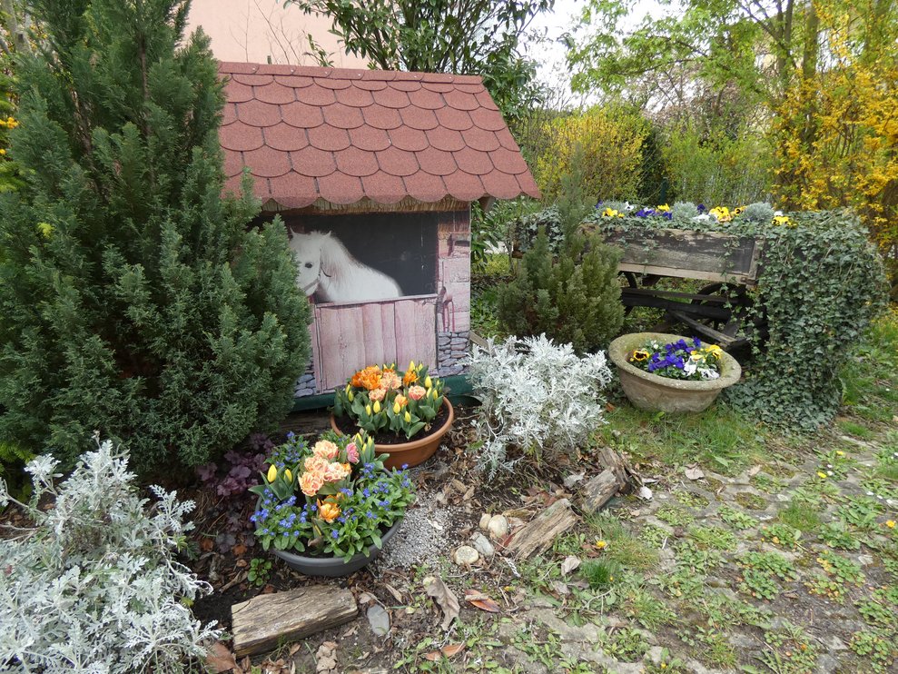 Frühlingsblumen