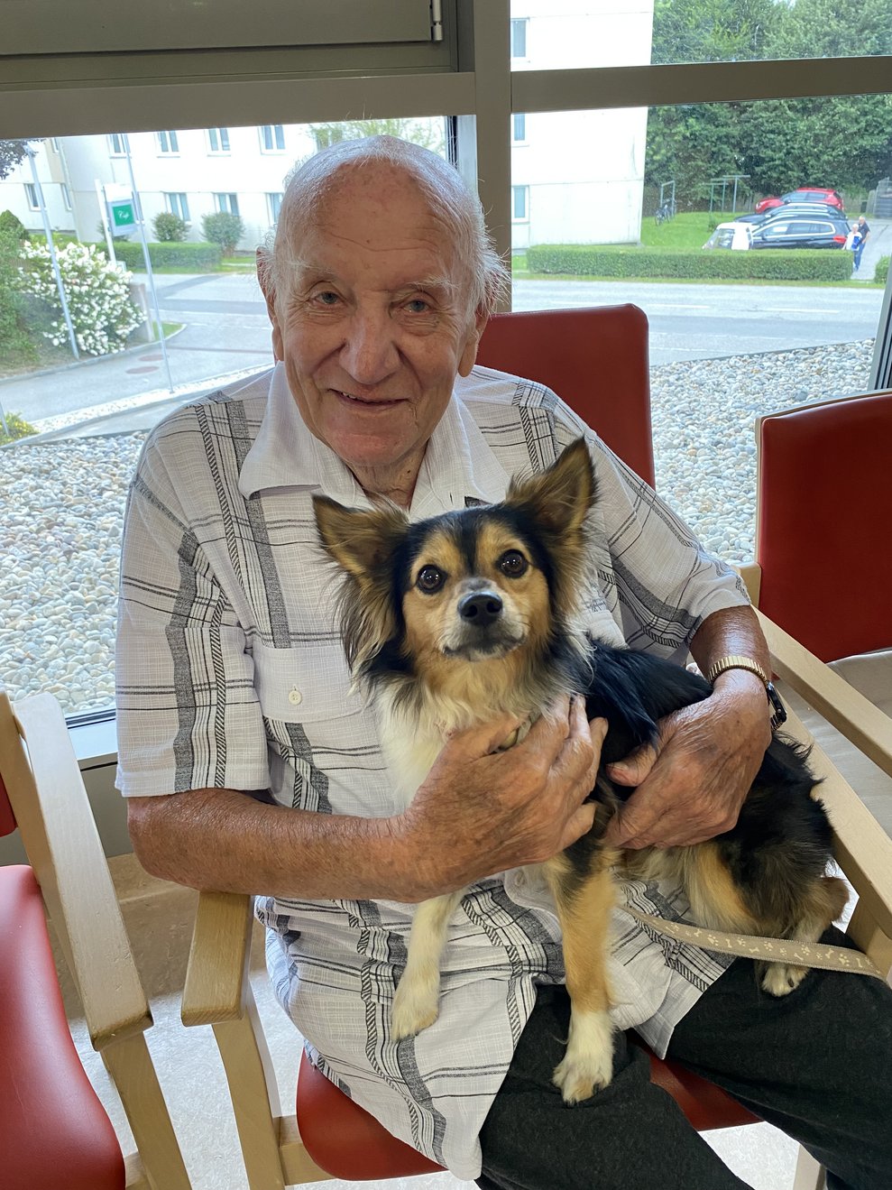 Herr Jungherr liebt Hunde, dass sieht man.