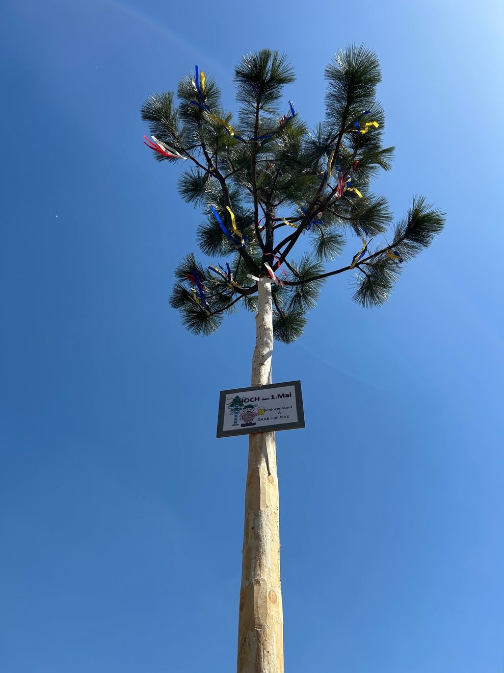 Maibaum